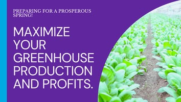 hummert greenhouse and supplies