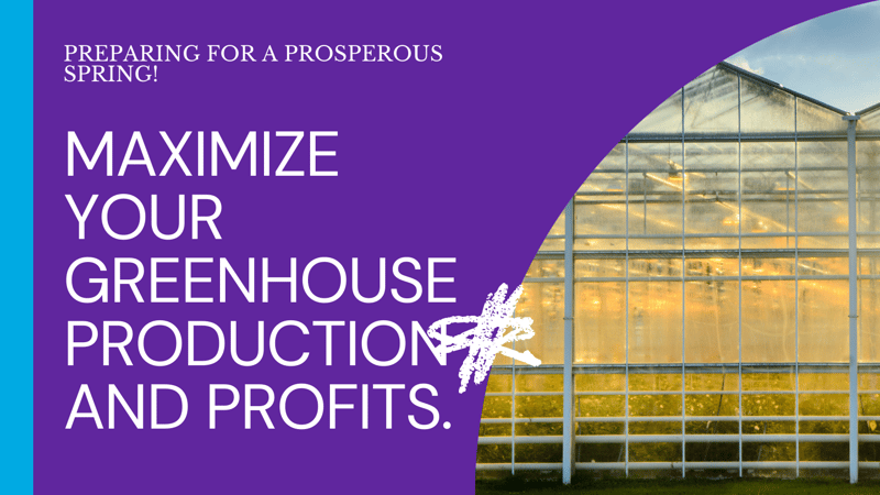 Preparing for a Prosperous Spring Season in Commercial Greenhouses