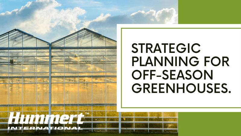 Strategic Planning for Commercial Greenhouses in the Off-Season