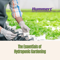 hummert international hydroponics