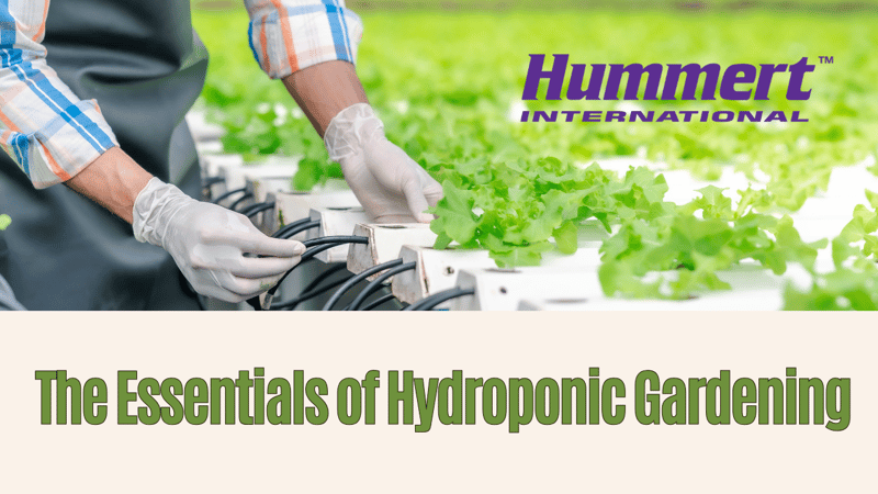 The Essentials of Hydroponic Gardening