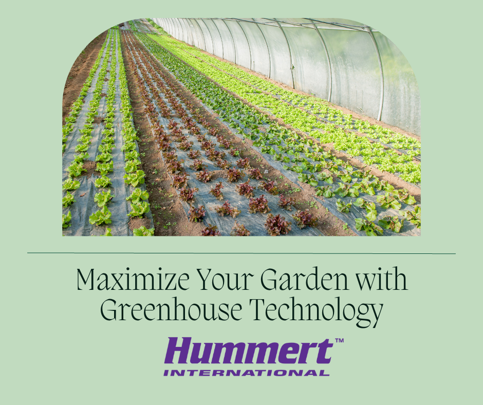 greenhouse technology hummert international
