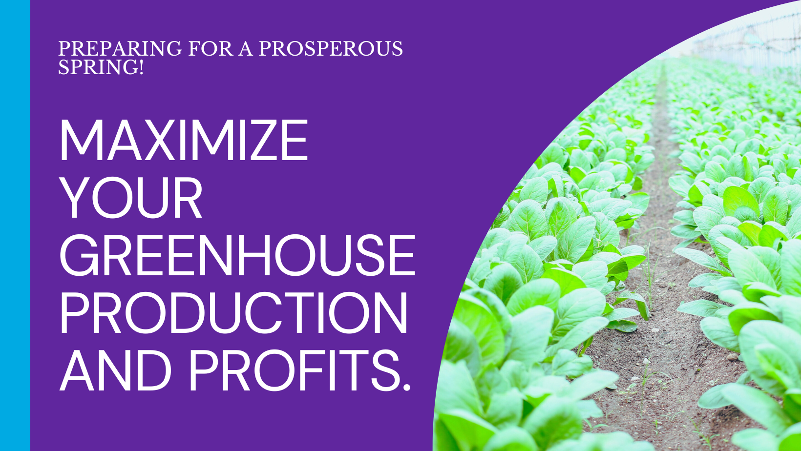 hummert greenhouse and supplies