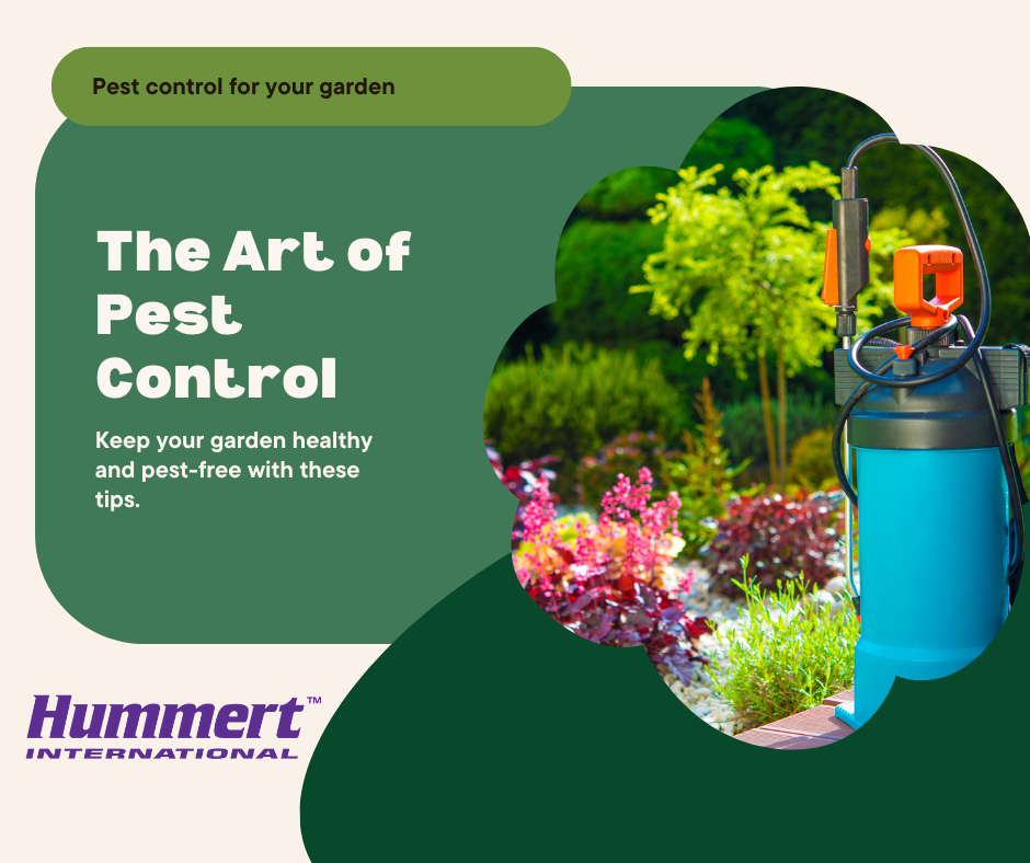 pest control hummert international